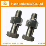 Stainless Steel High Strength ASTM A193 B8 Hex Bolts