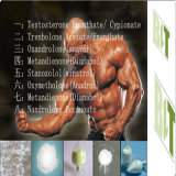 Steroid Steroids Pharmaceutical Chemical Manufacturer