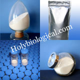 Hot Selling Factory Direct Supply Raw Powder Benzocaine