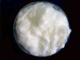 Hollow Conjugated Siliconized Polyester Staple Fiber (HCS PSF)