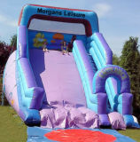 Inflatable Castle, Inflatable Trampoline, Purple Slide (QW009)