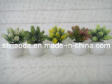 Artificial Plastic Mini Grass Bonsai (XD14-5)