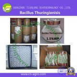 Good Quality Insecticide Bacillus Thuringienisis (Bt)
