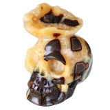 Turtle Stone Human Skull Figurine (0V10)