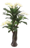 0017 Artificial Orchid Tree Export----SGS Standard