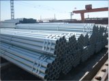 Galvanized Steel Pipe (A195/ A53/ API 5L)