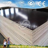 Shuttering Film Faced Plywood/Marine Plywood