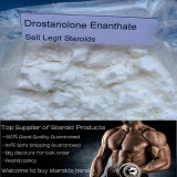 Drostanolone Enanthate Steroid Dromostanolone Enanthate Best Effective Steroid