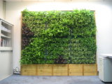 High Quality Artificial Plants and Flowers of Green Wall Gu-Wall2313031916141