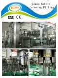 Fully Auto Carbonated Soft Drink Crowning Machinery in Glass Bottle
