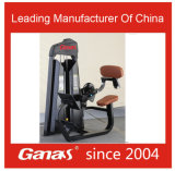 Commercial Gym Machine Adjustable Seated Back Extension Commercial Gym Machine Body Building Equipment