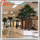 Factory Direct Hotel Decoration Artificial Palm Tree Plants
