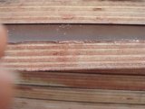 Marine Grade Brown Film Faced Plywood with Poplar Core