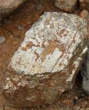 Pyrites, Ferro Sulphur, Piryte, Fes2, Pirite, Pyrite, Fes, Iron Sulfide, Ferrous Disulfide, Fe-S, Pyrrhotite, Iron Pyrites