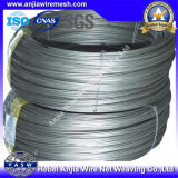 Electro Galvanized Iron Steel Wire for Construction