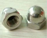 S31008 / 310S Stainless Steel Fastener DIN1587 Hex Acorn Nuts M6-M64