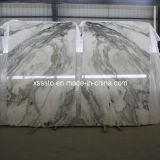 White China Jade Landscape Marble Slabs for Wall and Floooring