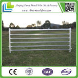 Metal Livestock Portable Steel Tube Corral Fencing / Cattle Panels / Sheep Panel