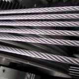 19*37 Stainless Steel Wire Rope