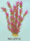 Aquarium Plant (2972)