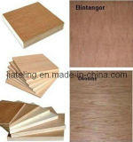 Bintangor Face Plywood for Furniture