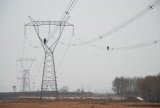 Power Transmission Line Tower 4circuits