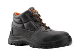 Safety Shoes 173
