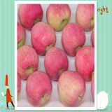 Good Quality for Exporting Chinese Fresh Red Star Apple