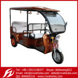 Yudi 2015 New Model Icat Rickshaw Battery Rickshaw Electric Tricycle Passenger Rickshaw