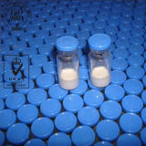 99% USP Fragment 176-191 Powder Peptides Muscle Building