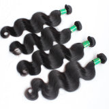 Stable Stock Nonprocessed 100%Virgin Indian Human Hair Weave