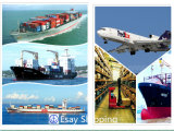 Cost Saving & High Quality Shipping Service From China to South America Shipping