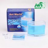 Ant Works Ant World Toy Educational Toy
