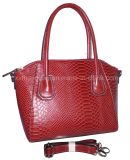 Ladies Handbag (A0550-1)