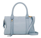 Fashionable Handbag Ladies' Handbag (LDO-15035)