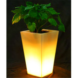 Lighted LED Pots