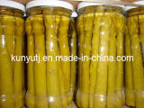 Canned Green Asparagus with High Quality