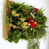 Artificial Plants and Flowers for Home Decoration Wall (China Wholesale)