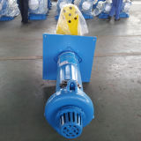 China Manufacturer Ferrous Mine Submersible Slurry Pump