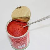 70g Canned Tomato Paste with High Quality