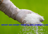 Urea Manufacturer Spring Fertilizer with High Quality High Efficient