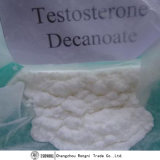 High Quality Testosterone Decanoate 5721-91-5 for Pharmaceutical Intermediates