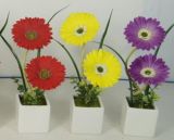 Promotional Gift for LED Artificial Flowers with Ceramics Pot
