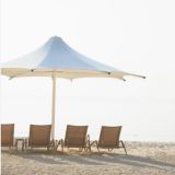 19-32oz PVC Tarpaulin Fabric for Sunshade/Beach Tent/Awning