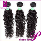 Brazilian Italian Curl, Wholesale Cheap Price Brazilian Remy Hair