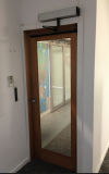 Profession Manufacture Automatic Swing Door (DS-S180)