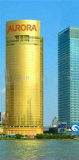 1650*2140mm Golden Reflective Glass for Building Glass