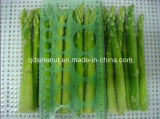 New Crop Frozen Green Asparagas