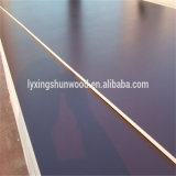 12-18mm Waterproof Marine Plywood From Linyi