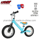12 Inch Skyblue Balance Running Bike /Training Bike for Baby with Bike Light (AKB-1228)